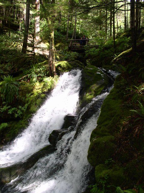 5.29.06 Siouxon Creek 017 